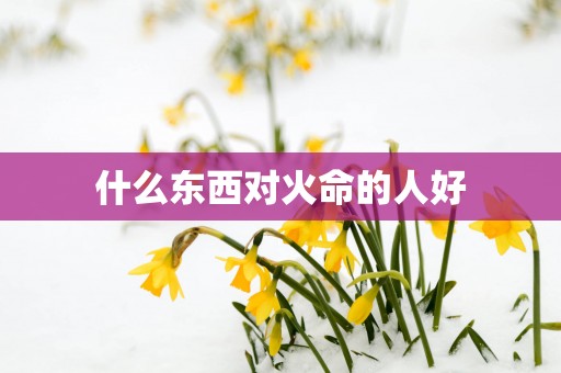 什么东西对火命的人好