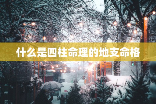 什么是四柱命理的地支命格