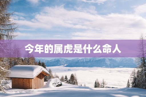 今年的属虎是什么命人