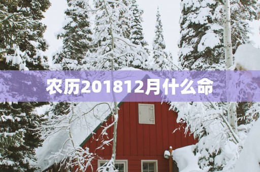 农历201812月什么命
