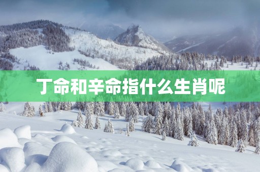 丁命和辛命指什么生肖呢