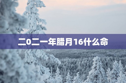 二0二一年腊月16什么命
