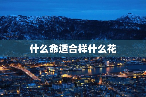 什么命适合样什么花