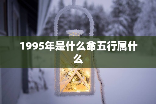 1995年是什么命五行属什么