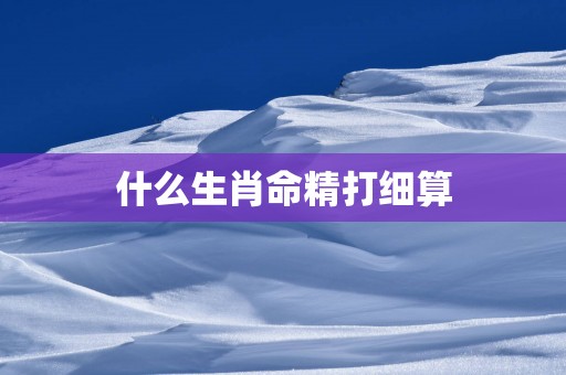 什么生肖命精打细算