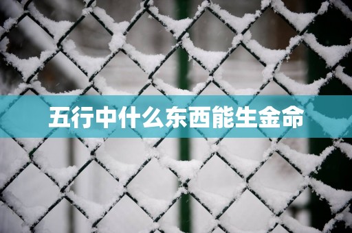 五行中什么东西能生金命