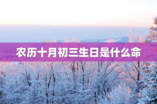 农历十月初三生日是什么命