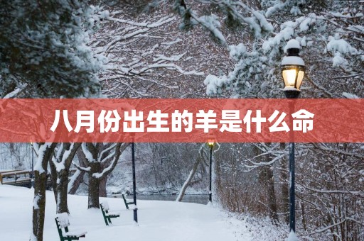 八月份出生的羊是什么命