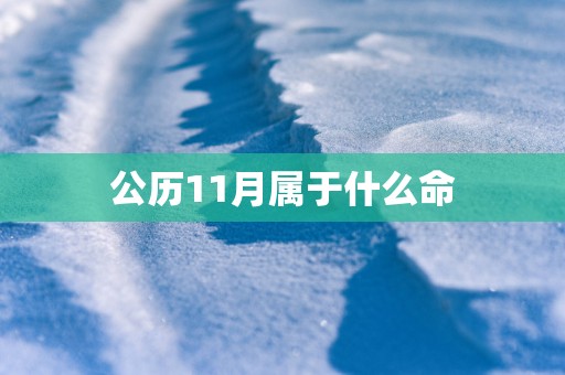 公历11月属于什么命