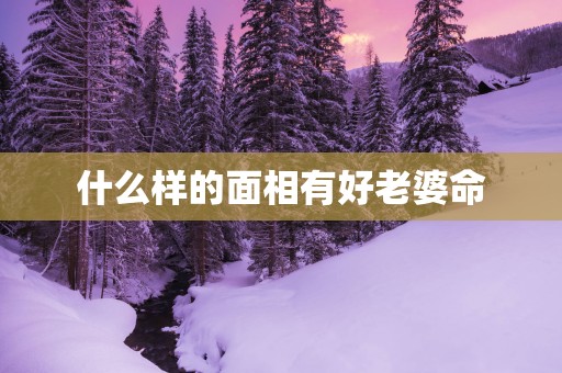什么样的面相有好老婆命