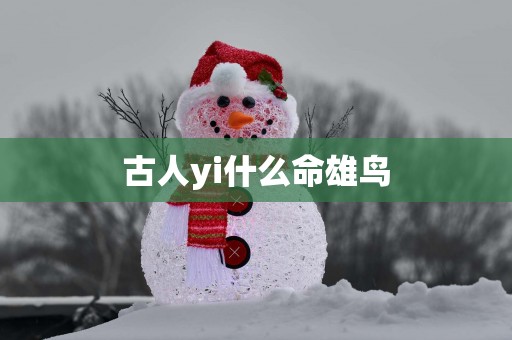 古人yi什么命雄鸟