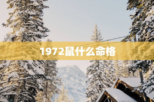 1972鼠什么命格