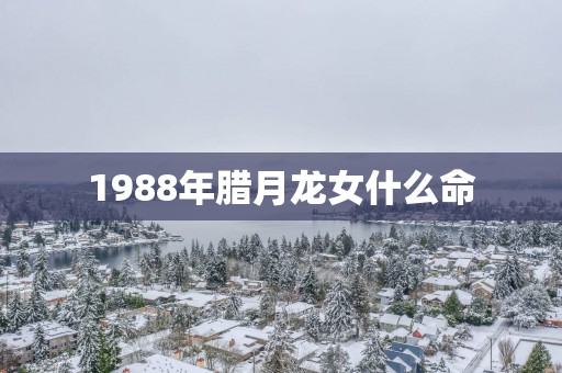 1988年腊月龙女什么命