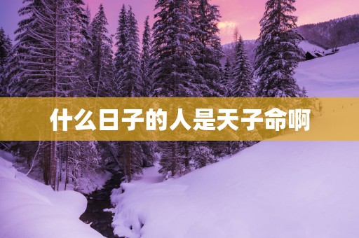 什么日子的人是天子命啊