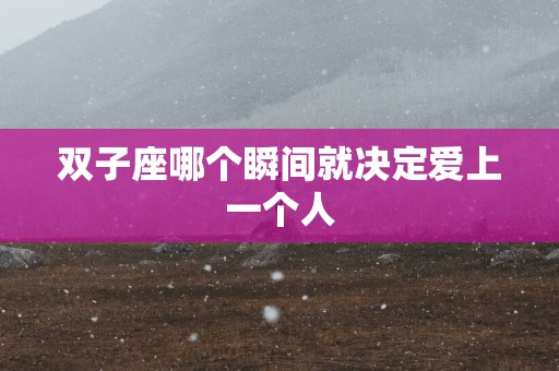 双子座哪个瞬间就决定爱上一个人