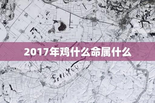 2017年鸡什么命属什么