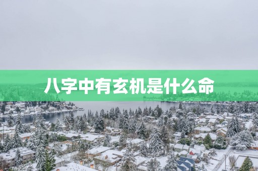 八字中有玄机是什么命