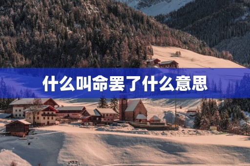 什么叫命罢了什么意思