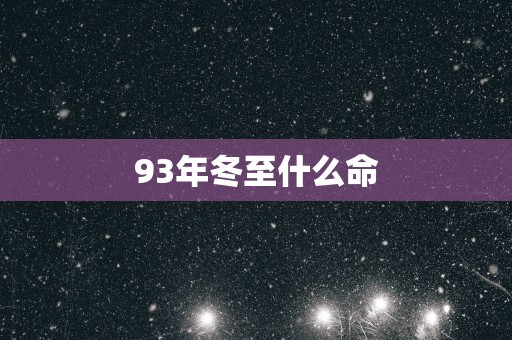 93年冬至什么命