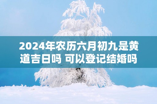 2025年农历六月初九是黄道吉日吗 可以登记结婚吗