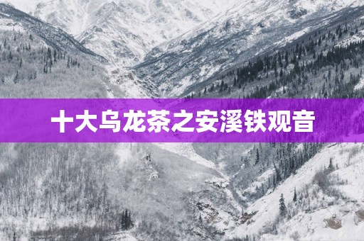 十大乌龙茶之安溪铁观音