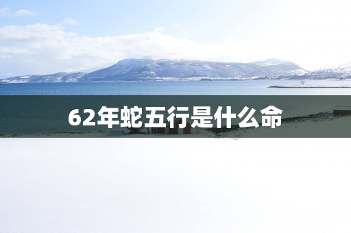 62年蛇五行是什么命