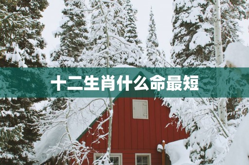 十二生肖什么命最短