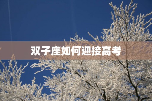 双子座如何迎接高考