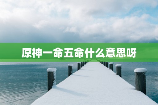 原神一命五命什么意思呀