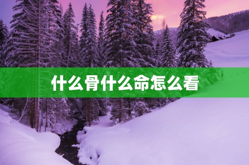 什么骨什么命怎么看