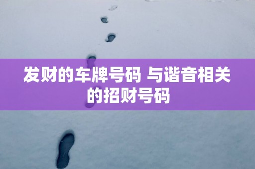发财的车牌号码 与谐音相关的招财号码