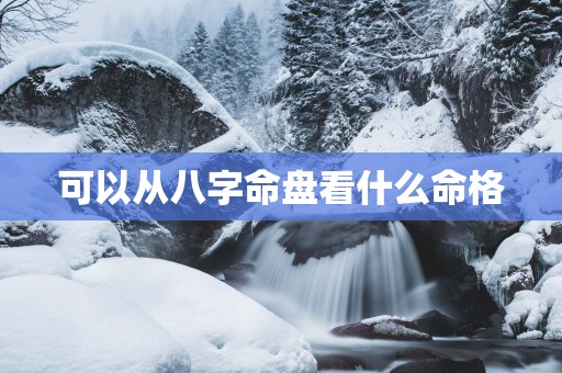 可以从八字命盘看什么命格