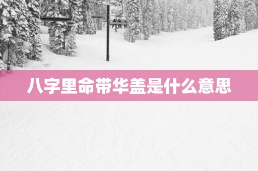 八字里命带华盖是什么意思