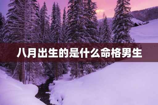八月出生的是什么命格男生