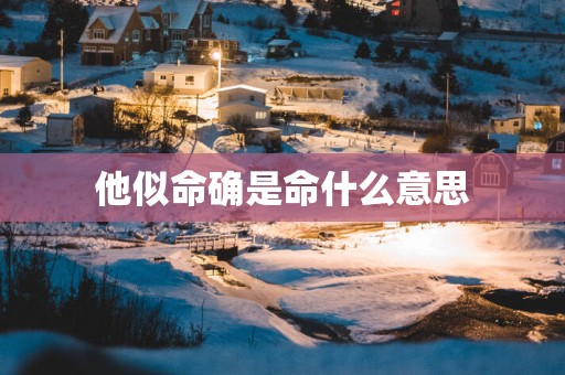 他似命确是命什么意思