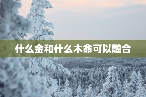什么金和什么木命可以融合