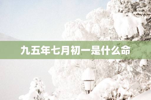 九五年七月初一是什么命