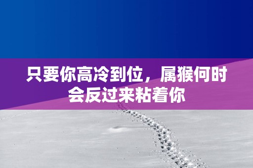 只要你高冷到位，属猴何时会反过来粘着你