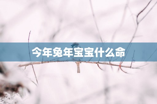 今年蛇年宝宝什么命
