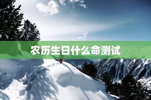 农历生日什么命测试