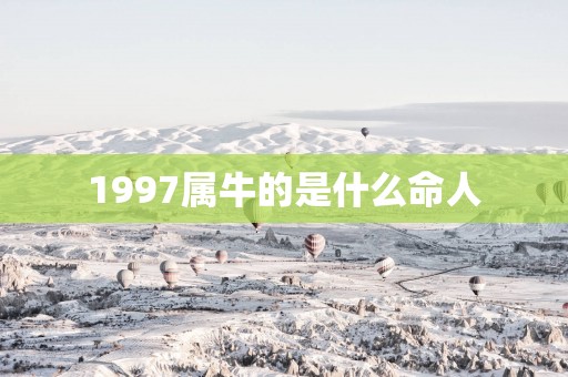 1997属牛的是什么命人
