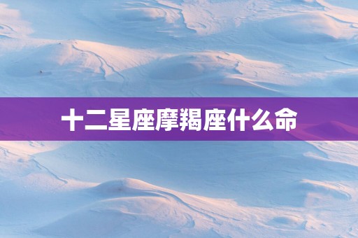 十二星座摩羯座什么命