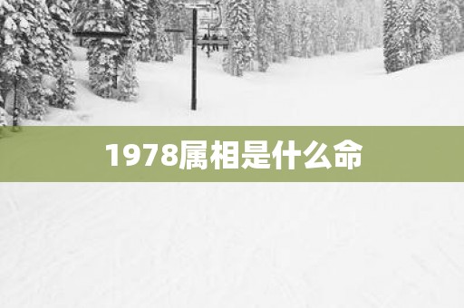 1978属相是什么命
