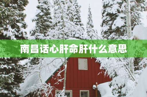 南昌话心肝命肝什么意思