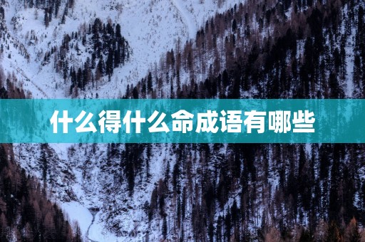 什么得什么命成语有哪些