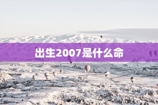 出生2007是什么命