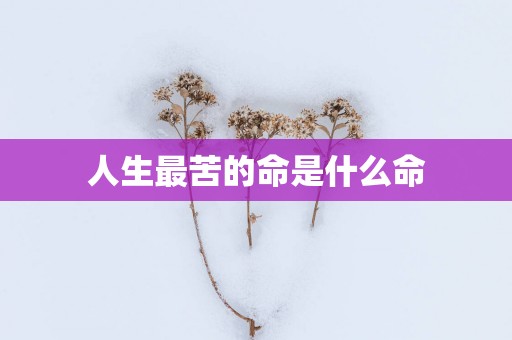 人生最苦的命是什么命