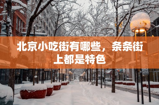 北京小吃街有哪些，条条街上都是特色