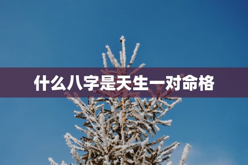 什么八字是天生一对命格