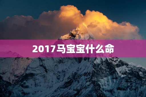 2017马宝宝什么命